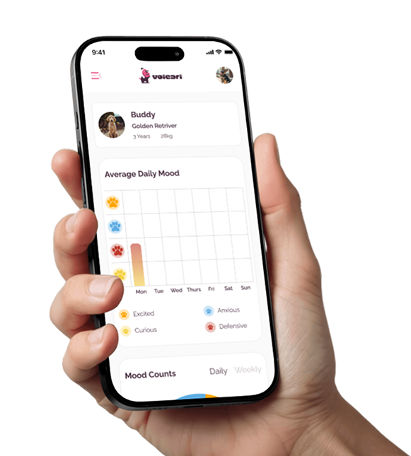 Hand holding iPhone showing Voicari app