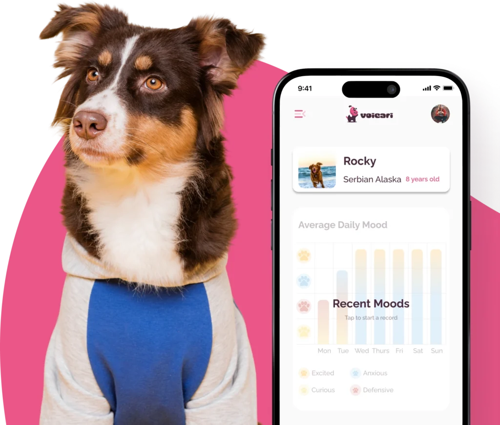 Voicari app visual