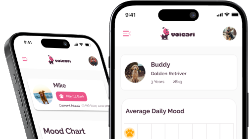High–Low Frequency Feature Extraction (HL_FE) — app screenshot