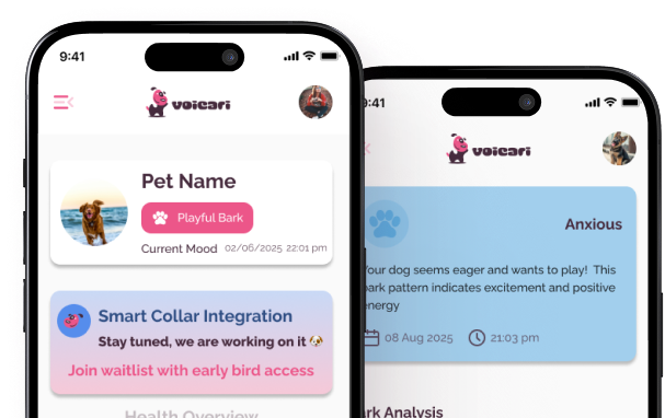 Softmax Classification — app screenshot