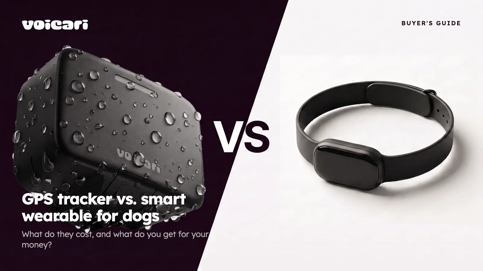 GPS Tracker vs. Smart Wearable for Dogs: What Do They Cost, and What Do You Get for Your Money?