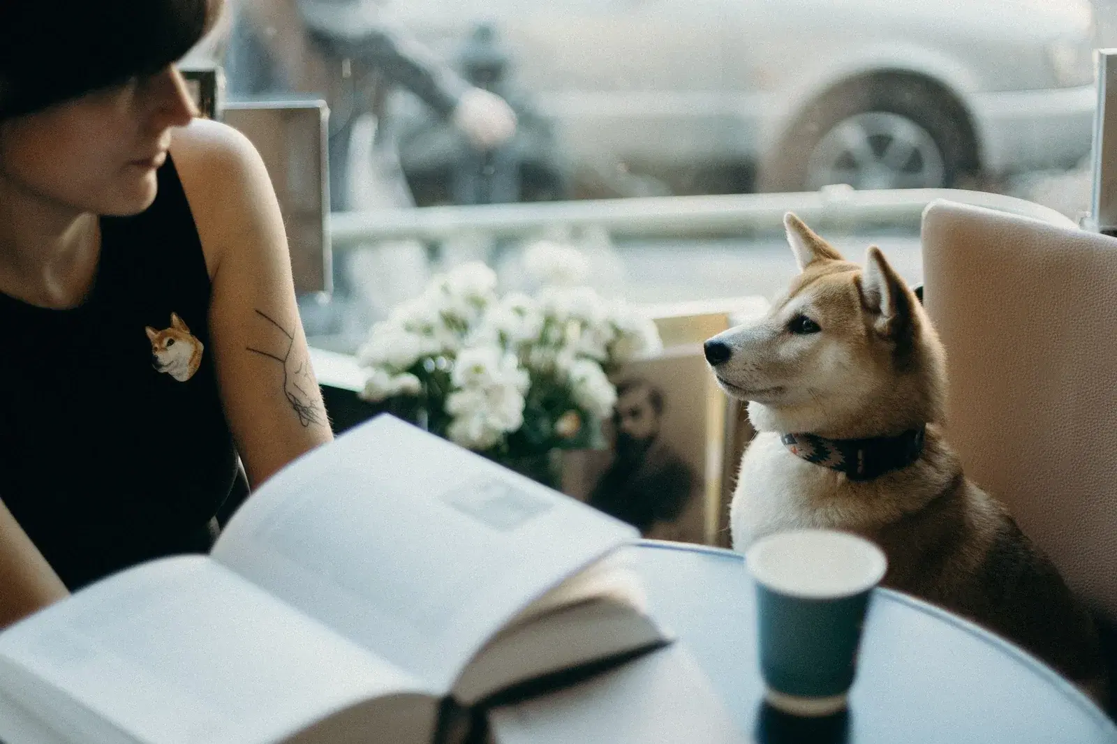 Frau mit Buch am Café-Tisch, ihr Shiba Inu mit Halsband sitzt ihr gegenüber.