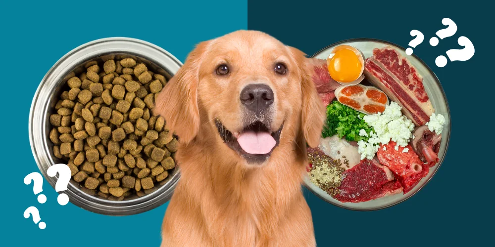 The Complete Guide to Dog Nutrition: Everything You Need to Know