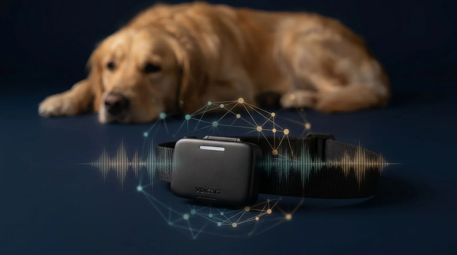 We Can Now Understand What Your Dog Feels, and We Have Filed the Patent for It