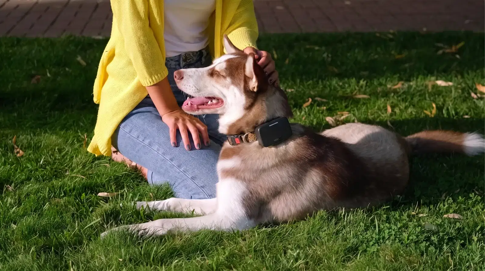 Voicari Bark Pro+ smart collar