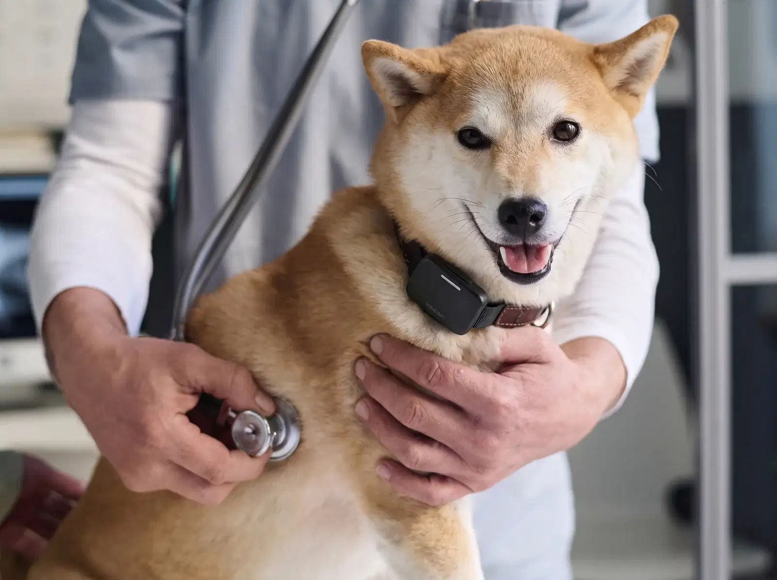 Voicari Bark Pro+ smart collar