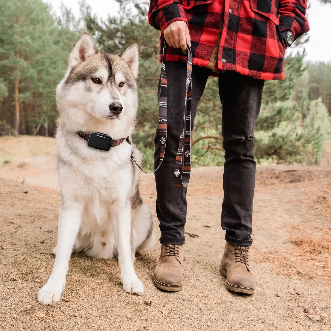Voicari Bark Pro+ smart collar
